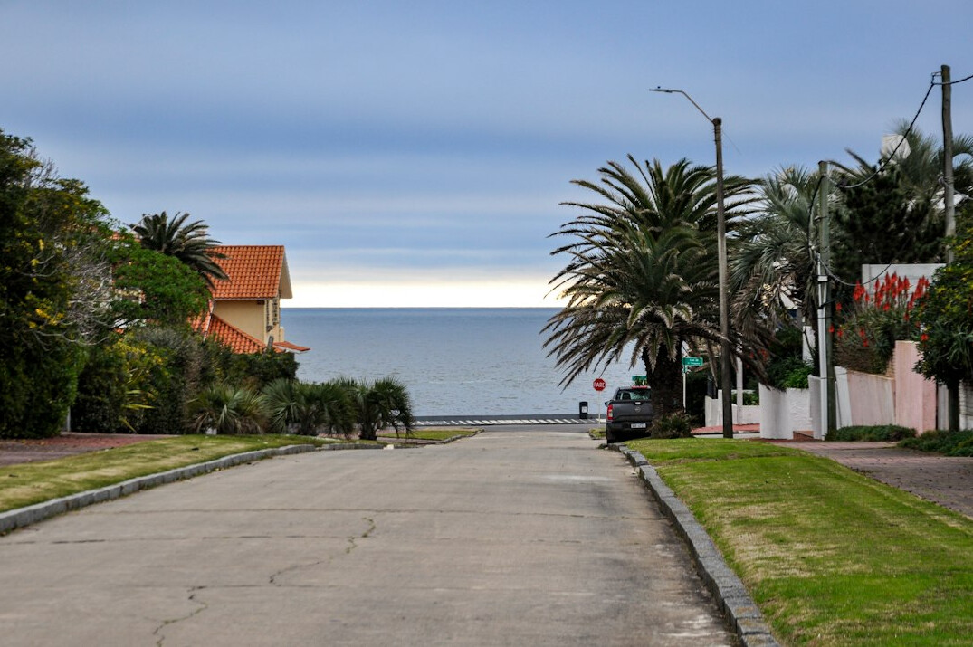 uruguayan celebrity portrait